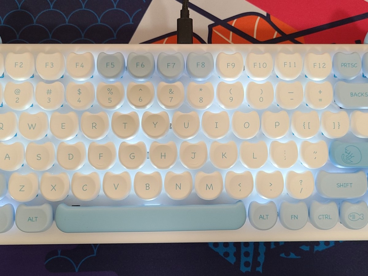 Random Product Review: iQunix M80&nbsp;Keyboard